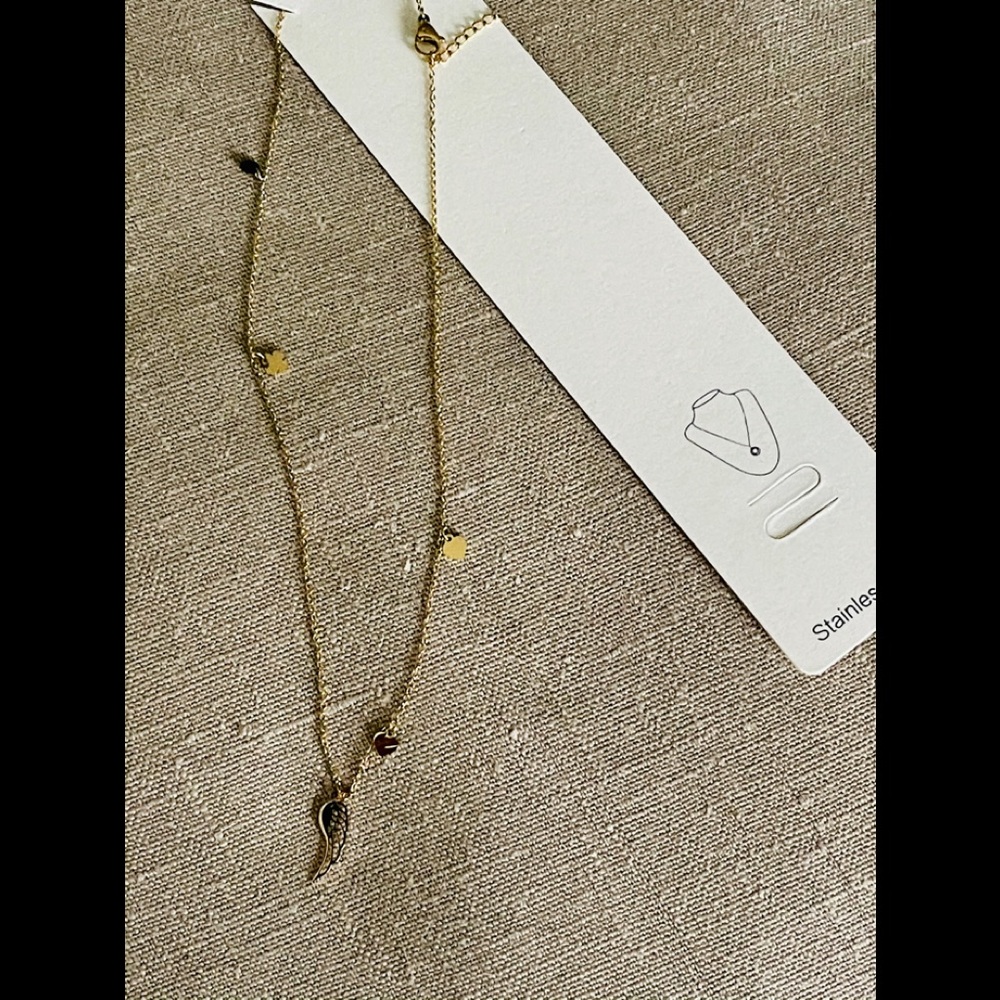 Stainless steel delicate necklace
